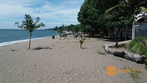 Pantai batu hiu berada di desa ciliang, kecamatan parigi, kabupaten ciamis, jawa barat. Tanah 27 Are Tepi Pantai Batu Layar
