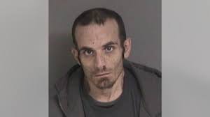 Man charged with vehicular manslaughter in Alameda collision that killed  pedestrian