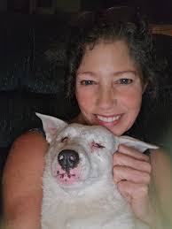 B&W dog photos in color for MPC 2018