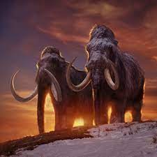 Sep 13, 2021 · a team of scientists and entrepreneurs announced on monday that they have started a new company to genetically resurrect the woolly mammoth. Woolly Mammoth Prehistoric Earth A Natural History Wiki Fandom