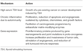 A solitary nodule found in a male is more likely to be cancerous than a solitary nodule found in a female. Frontiers Hashimoto S Disease And Thyroid Cancer In Children Are They Associated Endocrinology