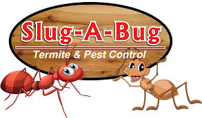 Affordable pest control solutions, will restore your peace of mind providing a cockroach ,ant, spider, bed bug free zone! Pest Control Services In Northern Va Slug A Bug