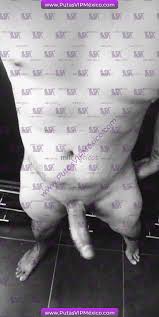 🔥 Putas VIP México | Gigolos en Acayucan, Veracruz