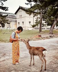 What can you feed deer. Pin Auf Our Instagram