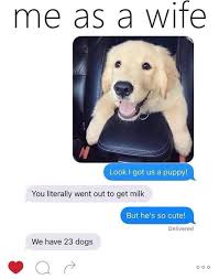 This Is Actually Me X Funny Dog Memes Cute Funny Animals Funny Animal Memes