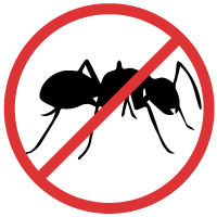 Haven't seen a spider, cockroach or any ot.her bugs since contracting fort myers pest. Pest Control Fort Myers Florida All U Need Pest Control