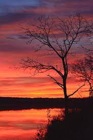 Sunset Silhouette Photograph By Forest Floor Photography