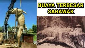 Ada 20 gudang lagu the legend of bujang senang terbaru, klik salah satu untuk download lagu mudah dan cepat. Lagenda Buaya Bujang Senang Terbesar Di Sungai Btg Lupar Sarawak The Legend Of Malaysian Crocodile Youtube