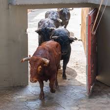 Aguadeño' abrirá la Corrida de la Oportunidad en Cali | mundotoro.com