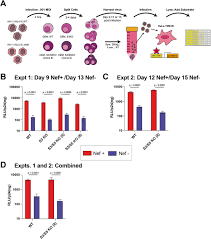 Image result for Infectivity