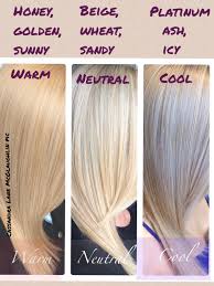 Blonde Cool Blonde Hair Warm Blonde Hair Cool Blonde Hair Colour