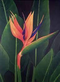 Check spelling or type a new query. Snowbird Art Bird Of Paradise Ii Flower Art Flower Painting Birds Of Paradise Flower