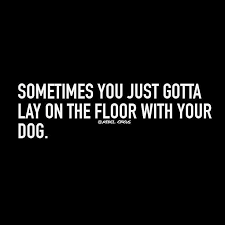 Happens A Lot Dog Quotes Words Sayings