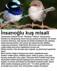 Elif Bilgin Adli Kullanicinin Bilgi Panosundaki Pin Komik Kus Psikoloji