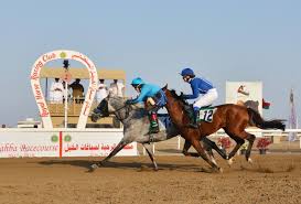 بالصور ٦أشواط للخيل العربية الأصيلة في السباق الـ 11 لنادي الخيل السلطاني بميدان الرحبة بوابة الخيل