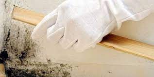 İki nehrin birleştiği yerdeki deltaya verilen ad. Duvardaki Kuf Ve Nemi Yok Eden Dogal Yontemler Olay Gazetesi Bursa