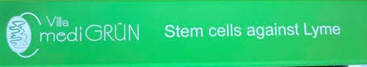 Stem Cell Treatment Ehh I Don T Know Live Lyme Love