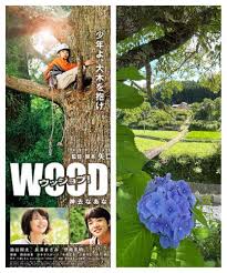 映画 WOOD JOB ❗️🚴‍♂️ロケ地めぐり｜🍀GreenSnap（グリーンスナップ）