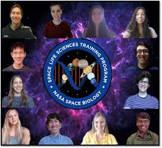 Vive la vida al máximo y confía en ti. Ana Diaz Artiles Adartiles Twitter