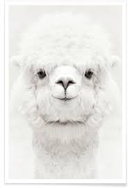 We did not find results for: Smiling Alpaca Poster Juniqe