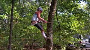 I have real fun playing with my favourite toys and also have a look at various new toys. Girls Can Have Fun In Trees Too 1st Time Professional Tree Climbing Training Youtube
