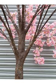 We did not find results for: Artificial Cherry Blossom Tree Weeping 1 8m Pink Artificial Plants