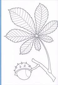 Jesien 1 Naplos Fall Coloring Pages Coloring Pages Autumn Crafts