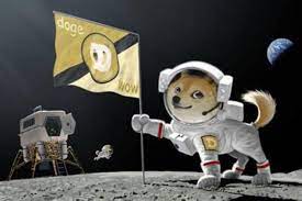 It syncs by downloading it, providing a the shiba inu is a japanese breed of dog that was popularized as an online meme and represents dogecoin. Dogecoin Memes Are Surging On Twitter After Reddit Inflated Cryptocurrency Value