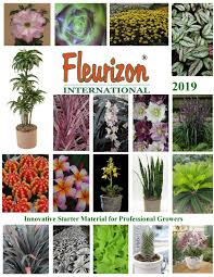 Maybe you would like to learn more about one of these? Fleurizon 2019 Catalog By Ben Issuu