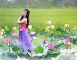 Image result for tranh thiếu nữ bên hoa phù dung