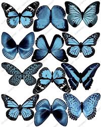 Pin On Botanical Images