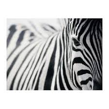 Pjatteryd Picture Ikea Zebra Pictures Zebra Painting Zebra Canvas