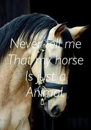 Pin By Sgp On Equine Luvr Horse Riding Quotes Horse Quotes Funny Horses