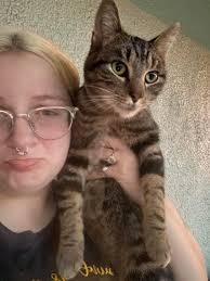 Is this your lost cat in Cotter?