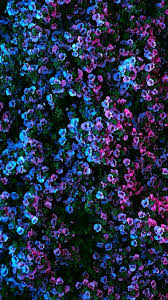 Nature Wallpaper Iphone Flowers Coverup Coverup Flowers Iphone Nature Wallpaper In 2020 Nature Iphone Wallpaper Flower Wallpaper Pretty Wallpaper Iphone