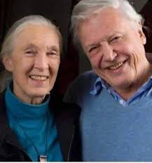 Thank you, Sir David Attenborough