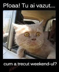 Ai imagini sau informaţii care ar putea deveni o ştire? Cum Trece Weekend Ul Viral Pe Internet