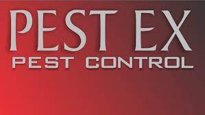 Pests like fruit flies, cockroaches, and rodents like rats are not just annoying, but carry a multitude of diseases. Pest Ex Pest Control Home Facebook