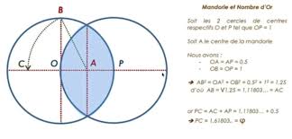 Résultat de recherche d'images pour "nombre d'or corps humain"