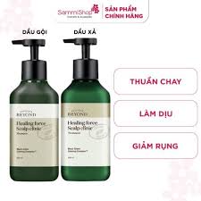 Chăm sóc tóc – Hair Care – SammiShop