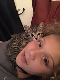 Did a search and didn't find anything. I adopted a cat and she is 1.6 yrs  old from humane society and I am looking for a vet who is for raw feeding