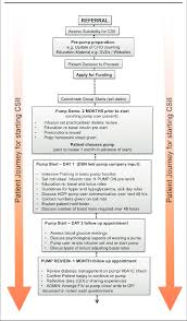 continuous subcutaneous infusion of insulin csii