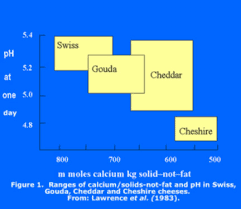 Differences Between Cheeses