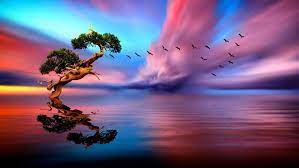 Download hd desktop backgrounds best collection. Lonely Tree Sunset Lake Birds In Flight Horizon Art Images Hd Wallpapers And Background Computer Smartphone And Tablet 1920x1080 Wallpapers13 Com