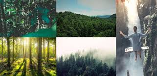 Aug 16, 2021 · palette home is the ideal app for you. Analog Forest Palette Forest Film Filters On Windows Pc Download Free 1 0 1 Analog Film Palette Pictail Camera Filter Forest