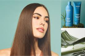 Dive Into Deep Hydration with Algae