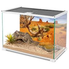 Image result for Terrarium Cling Background