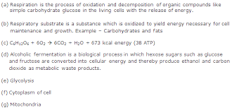 Respiration in plants class 10. Chapter 10 Respiration In Plants Frank Modern Certificate Solutions For Class 9 Biology Icse Topperlearning