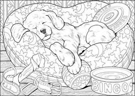 Ausmalbild hund für erwachsene posted on november 14 2020 by malvorlagen fur kinder pin auf mandala mandala tiere ausmalbilder hunde pin auf ausmalbilder hunde hunde ausmalbilder für. Hunde Ausmalbilder Fur Erwachsene Kostenlos Zum Ausdrucken Teil 2