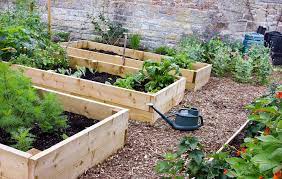 Your Guide To Growing The Vegetable Garden Of Your Dreams Vegetable Garden Raised Beds Small Vegetable Gardens Vegetable Garden Tips